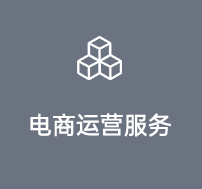 電商運(yùn)營(yíng)服務(wù)