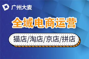 電商代運(yùn)營(yíng)