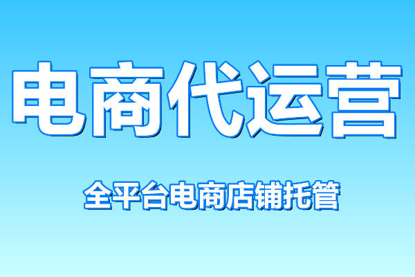 電商代運(yùn)營(yíng)